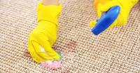 Carpet Cleaning North Hobart image 2